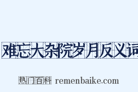 难忘大杂院岁月反义词是什么意思的图片